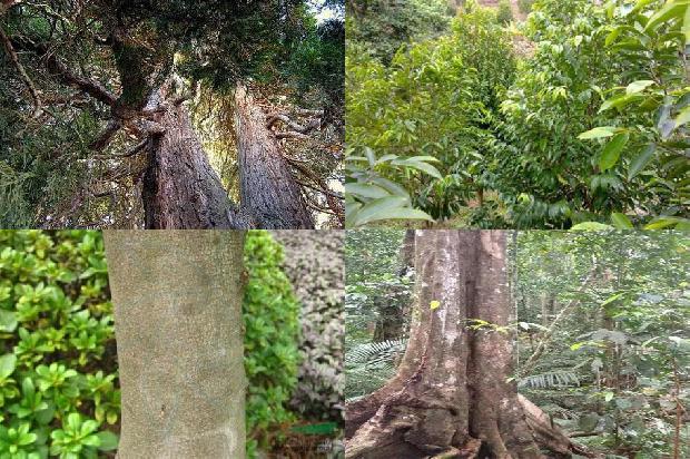 沉香手串最高价格1678321271961 沉香手串最高价格1678321271961