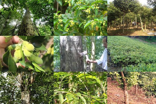 降沉香手串价格1678493984506 降沉香手串价格1678493984506