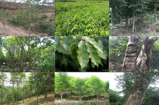 沉香手串价格是1678494104692 沉香手串价格是1678494104692