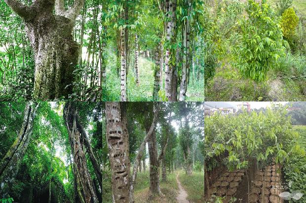 沉香手串的价格1678687548384 沉香手串的价格1678687548384