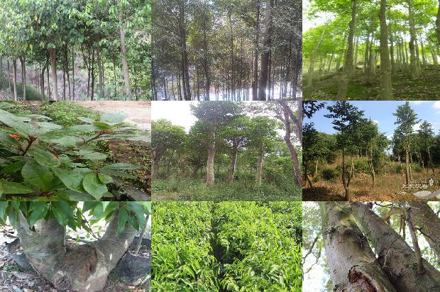 沉香手串要价格1678687787536 沉香手串要价格1678687787536