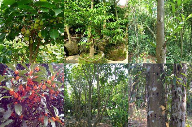 沉香的手串价格1678687988048 沉香的手串价格1678687988048