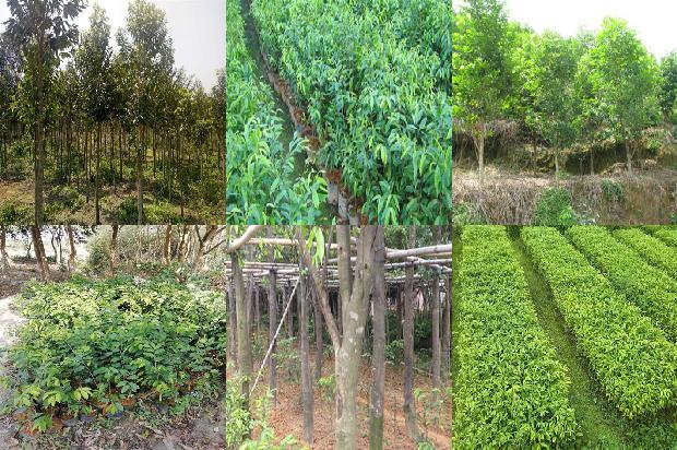 野沉香手串价格1678688329019 野沉香手串价格1678688329019