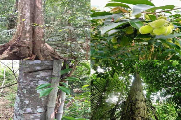 沉香串珠价格1679098881328 沉香串珠价格1679098881328