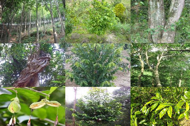 沉香铁盒价格1679185152633 沉香铁盒价格1679185152633