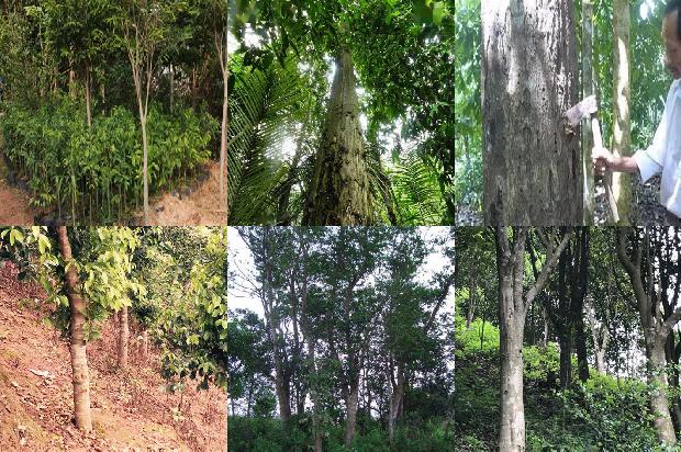 沉香链价格1679271604401 沉香链价格1679271604401