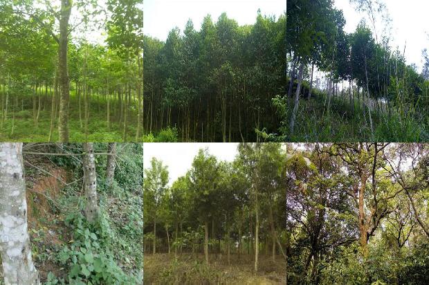 沉香链价格1679271604449 沉香链价格1679271604449