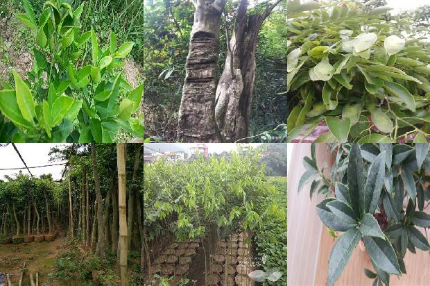 沉香礼盒价格1679358448230