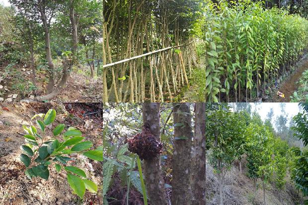 沉香礼盒价格1679358448278