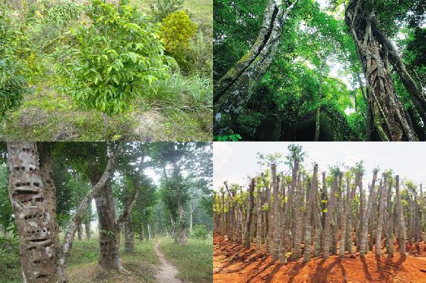 沉香礼盒价格1679358448326