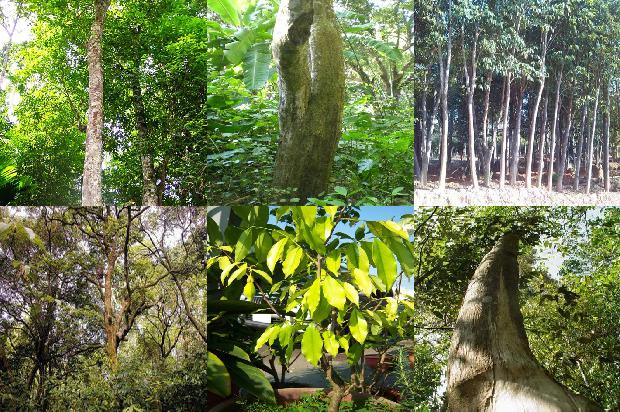 这个沉香的种类和价格1679444506039 这个沉香的种类和价格1679444506039