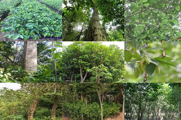 沉香产品价格1679789549535 沉香产品价格1679789549535