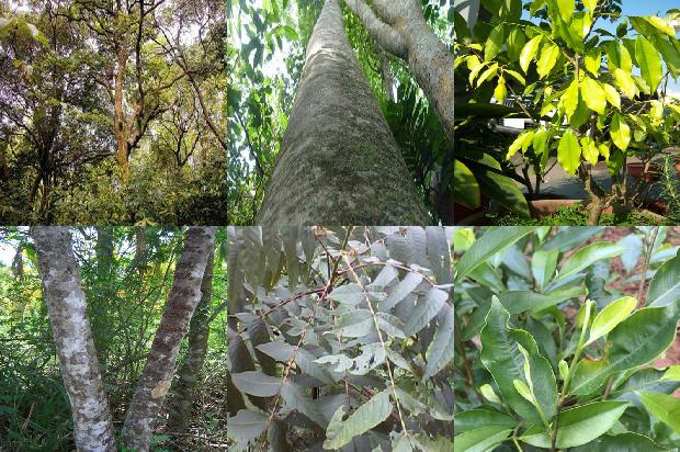 沉香产品价格1679789549630 沉香产品价格1679789549630