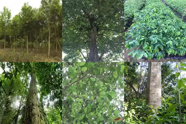 沉香珠的价格1692662922981 沉香珠的价格1692662922981