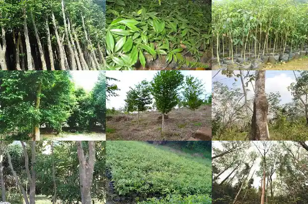 沉香串的价格1692576575513 沉香串的价格1692576575513