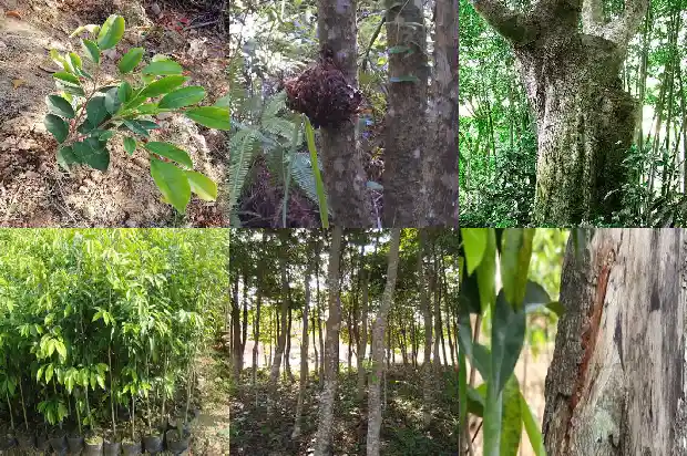 沉香手串一般价格多少1692144548529 沉香手串一般价格多少1692144548529