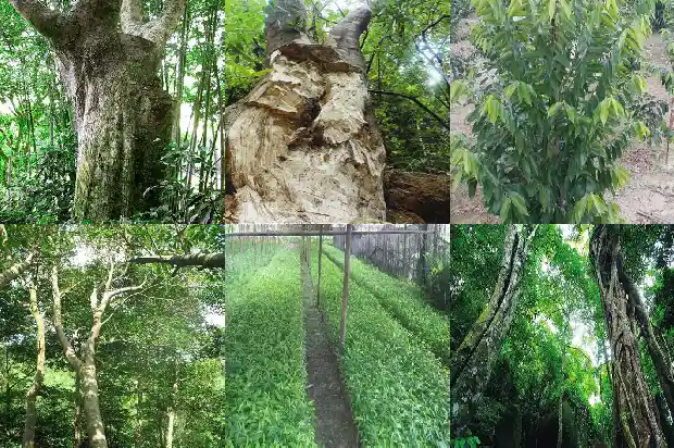 手链沉香价格1693440583443 手链沉香价格1693440583443