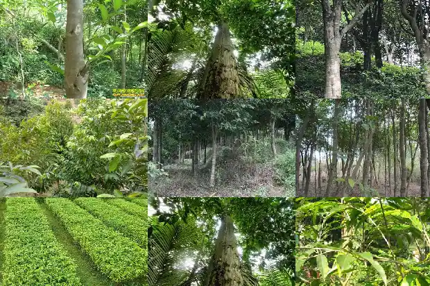 沉香串的价格1692576575607 沉香串的价格1692576575607
