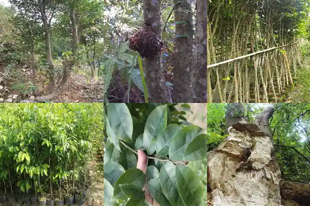 沉香手串的价钱1691021730759 沉香手串的价钱1691021730759