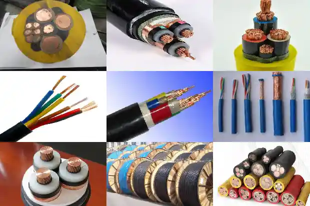 bpyjvp(一)1735349301009 bpyjvp(一)1735349301009