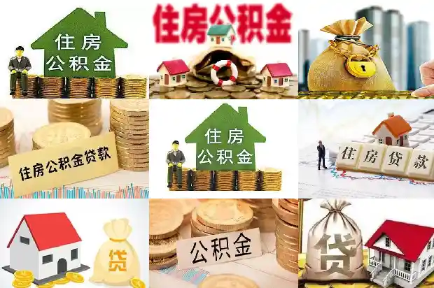 贷款之路，宁波的选择1705709491345