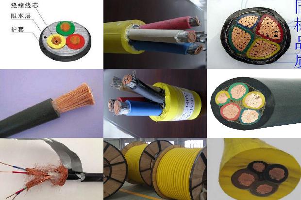 电线 小说1671236877000 电线 小说1671236877000