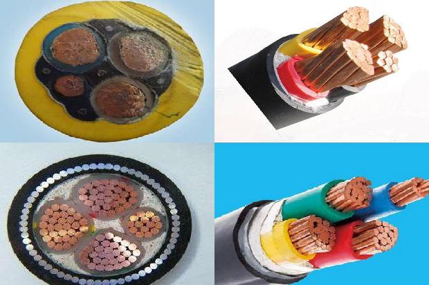 两芯软护套线1673142495412