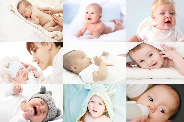 送生完孩子的产妇什么鲜花19条介绍,来看看有哪些1665506699741