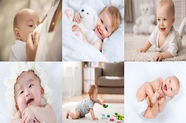 送生完孩子的产妇什么鲜花19条介绍,来看看有哪些1665506699753