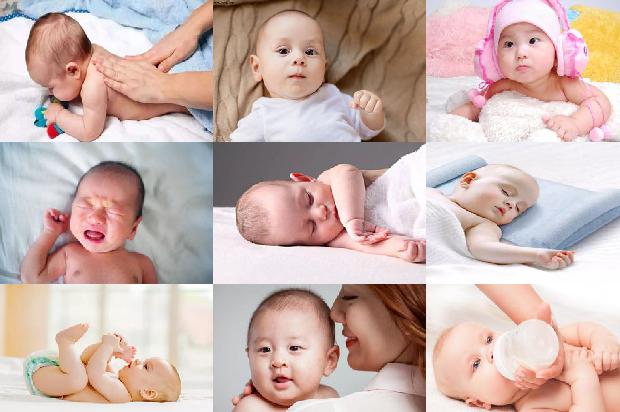 送生完孩子的产妇什么鲜花19条介绍,来看看有哪些1665506699765
