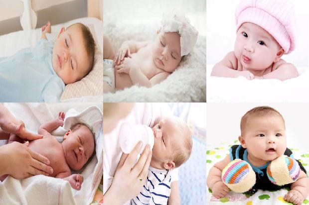 送生完孩子的产妇什么鲜花19条介绍,来看看有哪些1665506699771