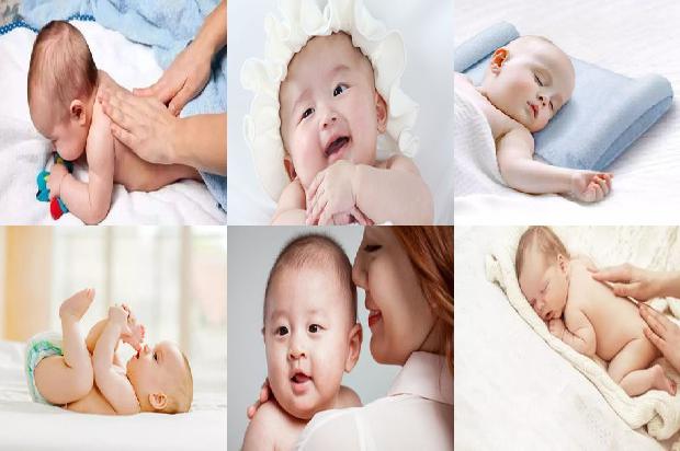 产陈皮的新会在哪里25条介绍,一定要看!1668755604063