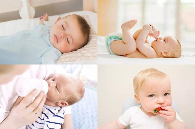 宰阿姨介绍1678321289644 宰阿姨介绍1678321289644