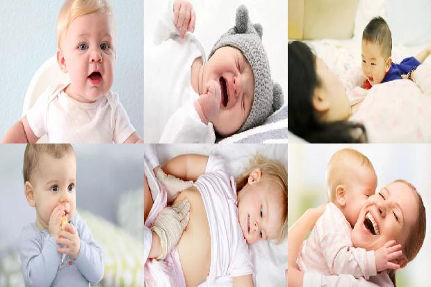 宁波保姆:郑阿姨介绍1678840552274 宁波保姆:郑阿姨介绍1678840552274