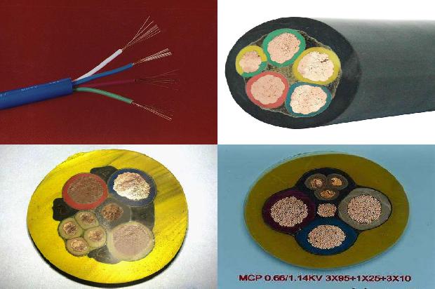 ���׵���10о(��)1714700272120