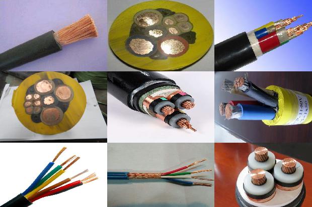 MC��ú�����׵���(��)1714533197464