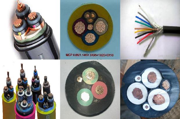 �������µ���(��)1714696640487