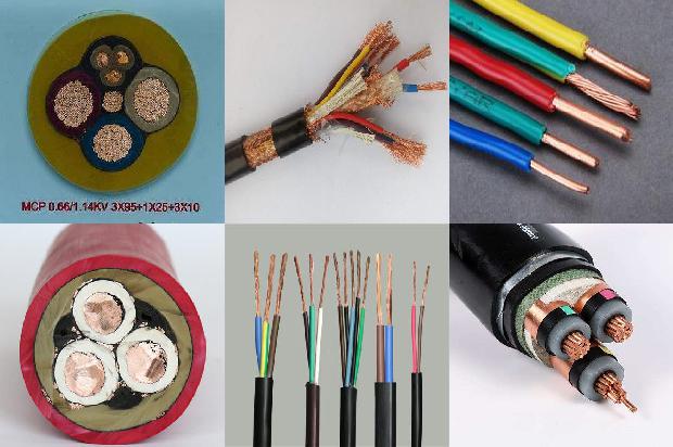 485a��(��)1722133941508