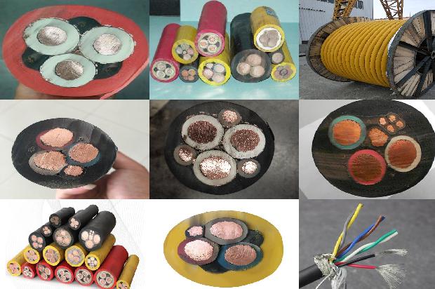 �����͵���(��)1714268650338