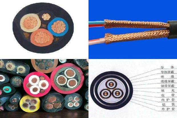 ���׵�������(��)1714435904391