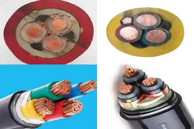 8о˫�����ε���(��)1713406705061