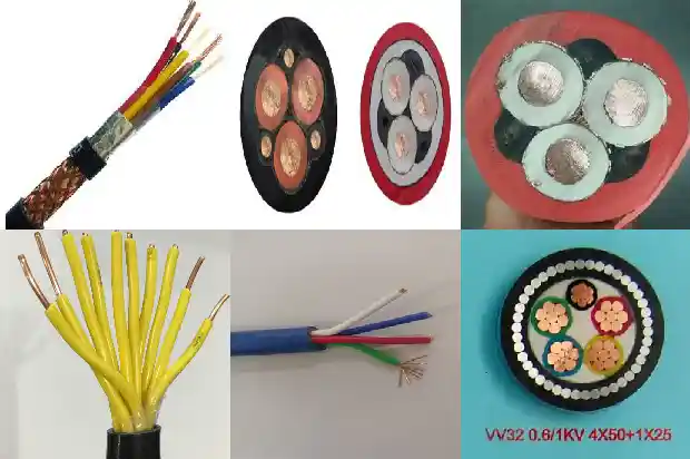 100�Ե���(��)1714436320593