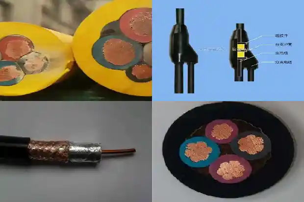 50�Ե���(��)1713487771662