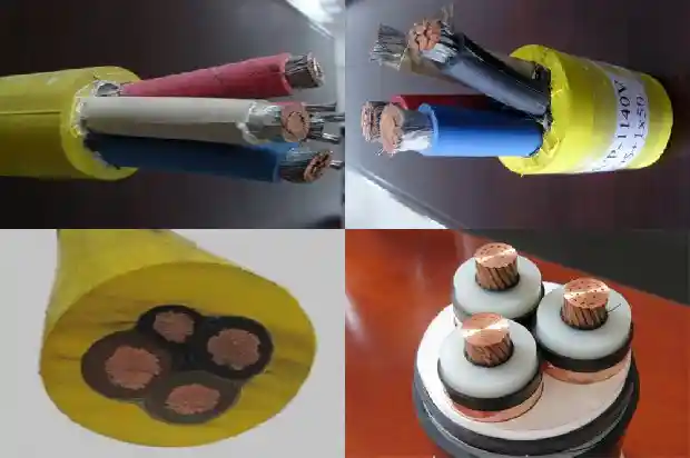 8о˫�����ε���(��)1713406704967