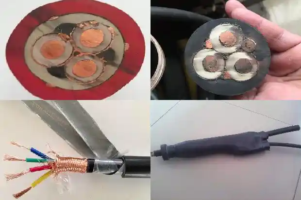 �ͻ��͵�������(��)1713921260751