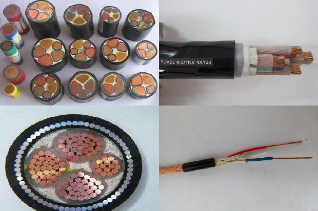 电线固定钉子1678321968649 电线固定钉子1678321968649