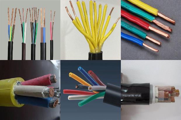 电脑网络电缆被