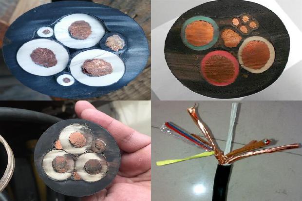 电脑的网络电缆