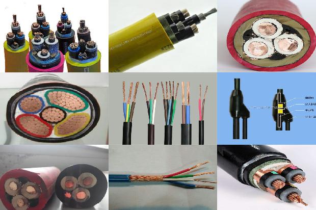 带屏蔽层的电缆