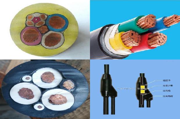 10芯带屏蔽电缆